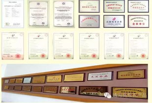 借力中國蔬菜品牌大會，云南蔬菜品牌與企業以大數據服務驅動產業升級